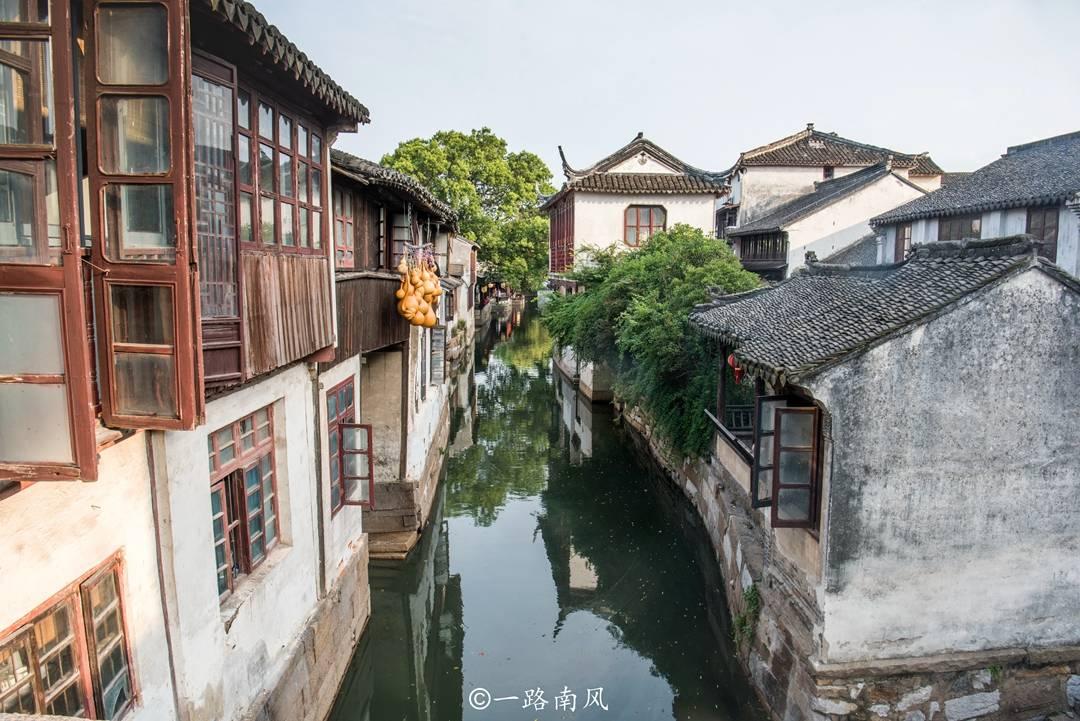 孤独的流浪者救援